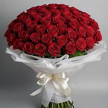 Букет 101 Красная роза Блэк Мэджик в Кошелево