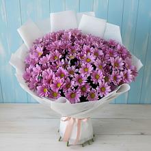 Букет цветов из:  Хризантемы в Кошелево
