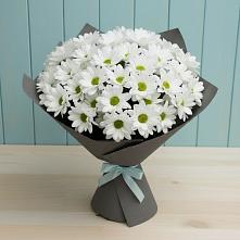Букет цветов из:  Хризантемы #REPLACE_PRED# Кошелево