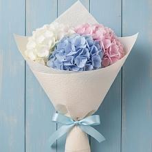 Букет цветов из:  Гортензия в Кошелево