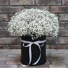 Цветочная композиция из Гипсофила в шляпной коробке в Кошелево