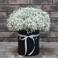 Цветочная композиция из Гипсофила в шляпной коробке в Кошелево