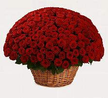 Премиум букет из: Розы в Кошелево