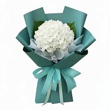 Букет цветов из:  Гортензия в Кошелево